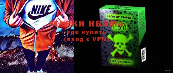 соль ск Краснослободск
